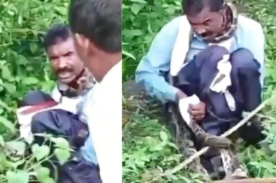 Watch: 15-foot-long Python Tries To Swallow Man Alive In MP, Villagers Save Him