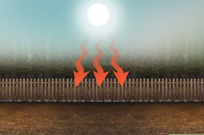 How to Grow Collard Greens