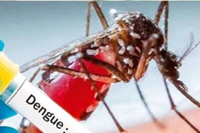 Dengue: An Overview of Precautions, Symptoms, Common Tests, and Neurological Effects