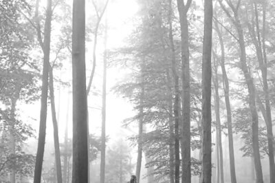 Music Review: Taylor Swift's new album is strikingly heroic