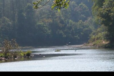 Govt policies destroying Western Ghats: Ecologist