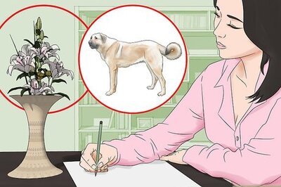 How to Draw Without Taking Classes