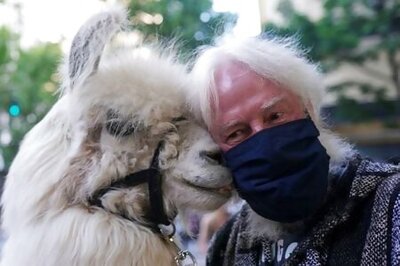 Furry llama brings touch of Zen to protesters and police in Portland