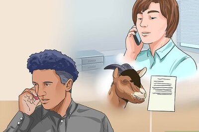 How to Start a Goat Farm