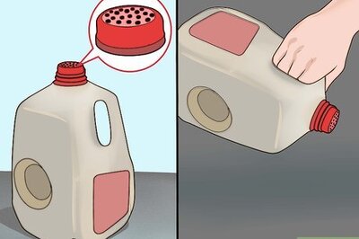 How to Take Action Against Deforestation