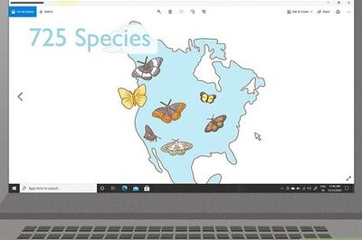 How to Find a Caterpillar