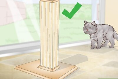 How to Stop a Cat from Scratching the Couch