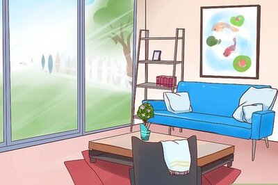 How to Keep Your Dog from Chasing Cats