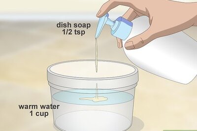 How to Remove Old Dog Urine Stains