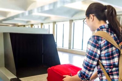 In China, Woman Arrested For Smuggling Rare Stag Beetles