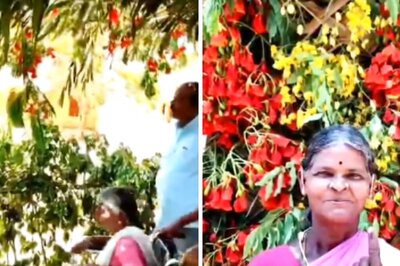 At This Eco-friendly Polling Booth In Tamil Nadu, Plastic Bottles Banned And Separate Bins Kept For Waste