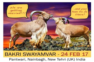 Priyanka, Katrina and Deepika To Wed This Mahashivratri