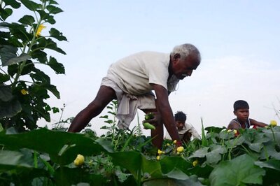 Yogi Adityanath Government Waives Off Farm Loans up to Rs 1 Lakh in UP