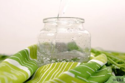 How to Store Cilantro