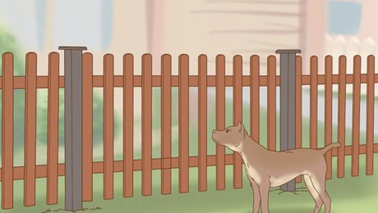 How to Keep Dogs Out of Gardens