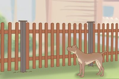 How to Keep Dogs Out of Gardens