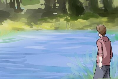 How to Catch Shiners