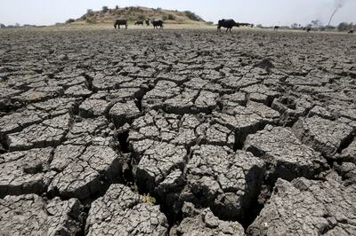 If god wishes, there will be rain: Venkaiah Naidu on drought