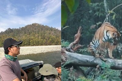 On International Tiger Day 2024, Sachin Tendulkar Urges People to Protect the National Animal