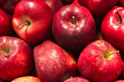Bright Shining Apple Can Cause Serious Health Issues, Reveals Study