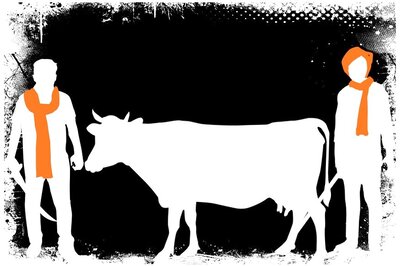 SC Cracks Down on Cow Vigilantism, Gives States 7 Days to Form Task Force