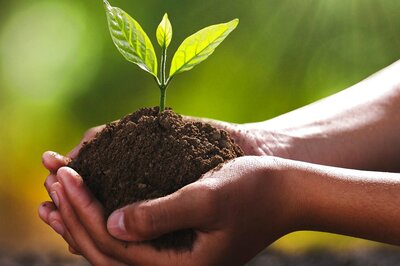World Soil Day 2021: Theme, History and Significance
