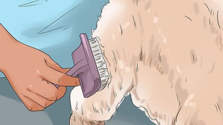 How to Give Your Dog a Make Over