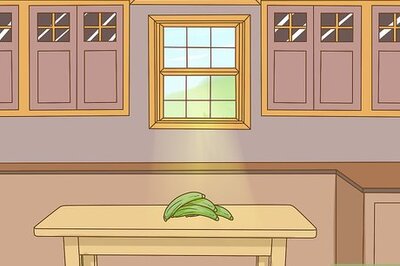 How to Ripen Plantains