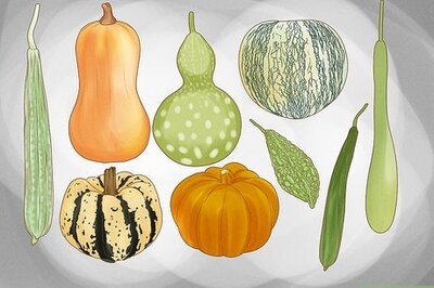 How to Grow Gourds