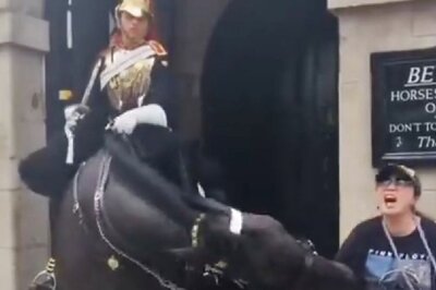 UK King’s Guard Horse Bites Tourist Posing For Photo Causing Her To Faint, Days After Biting Indian Traveller