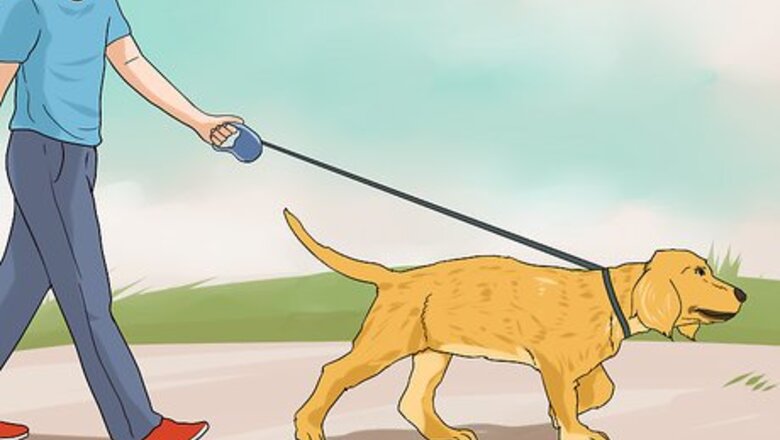 How to Have a Fun Day with Your Dog