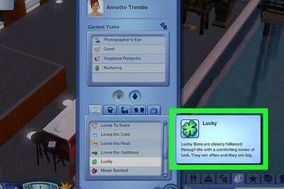 How to Prevent a Robber From Stealing Your Possessions on Sims 3