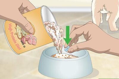 How to Get Your Dog to Take Its Medicine