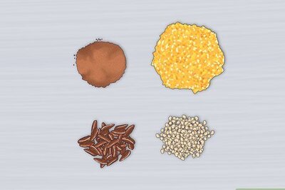 How to Feed Your Dwarf Hamster: The Best Dwarf Hamster Food and Feeding Tips