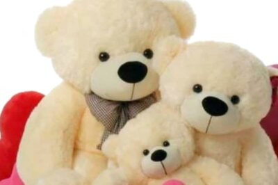 Teddy Day 2021: Wishes to Share with Your Partner on the Occasion