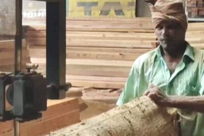 Tenkasi's Timber Traders Turn To Overseas Markets Amid Local Tree Felling Ban