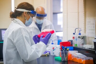 Method to Rapidly Identify Antibodies against Coronavirus from Convalescent Plasma Developed: Report