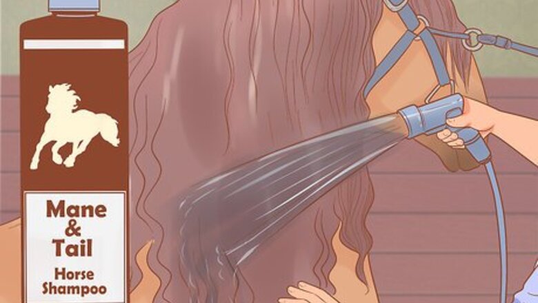 How to Braid Your Horse's Mane for the Show Ring