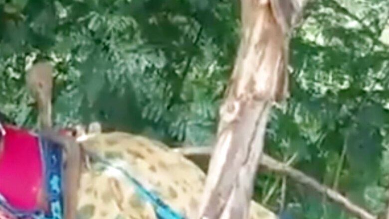 WATCH: Video of Woman Relaxing Despite Snake Perched on Top Will Give You Chills