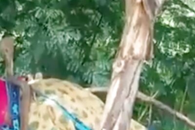 WATCH: Video of Woman Relaxing Despite Snake Perched on Top Will Give You Chills