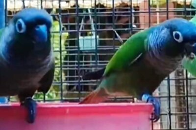 In Memory Of His Father, Tamil Man Converts Farmhouse Into Animal Sanctuary