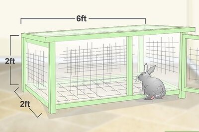 How to House a Rabbit