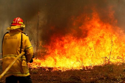 Rain Brings Much-needed Relief for South Australia Bushfires