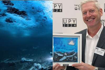 Trending: Man Wins Underwater Photographer Of The Year Award For Capturing 'Whale Bones'