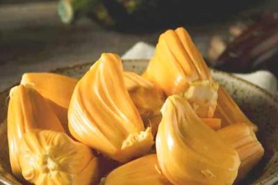 Can Children And Pregnant Women Eat Jackfruit?