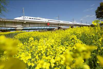 Why Mumbai-Ahmedabad Bullet Train Project is Expected to Cost Over 1.6 Lakh Crore