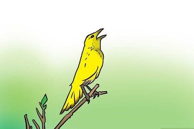 How to Appreciate the World and Nature Around You