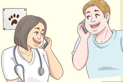 How to Control Feline Heat Cycles with Megestrol Acetate