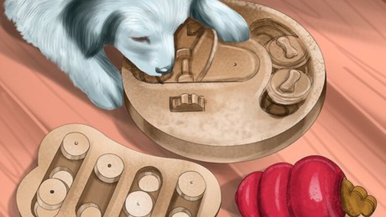 How to Keep Your Pet Occupied when You Are Not at Home