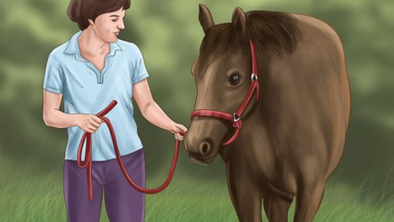 How to Cool a Horse